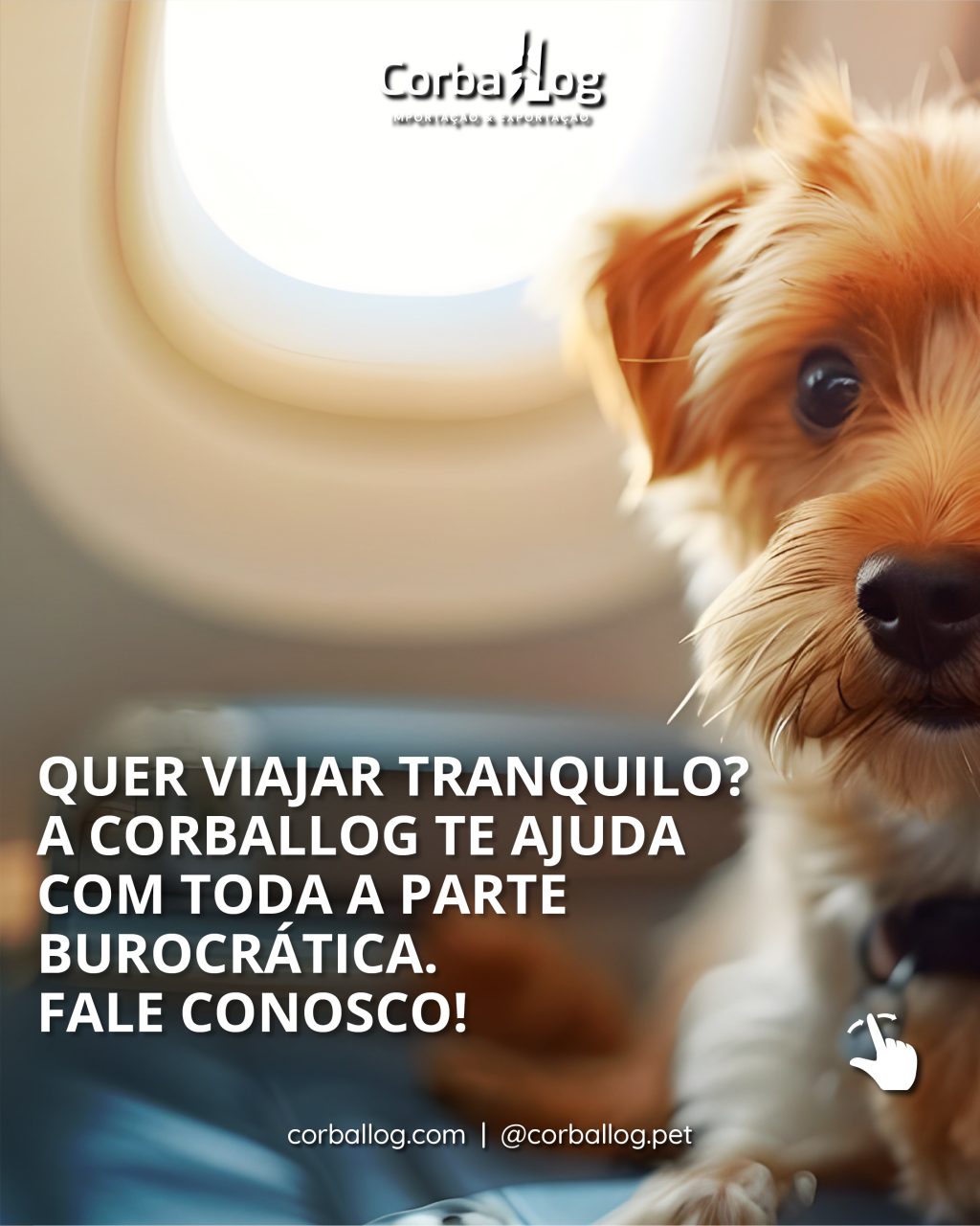 carga viva nacional