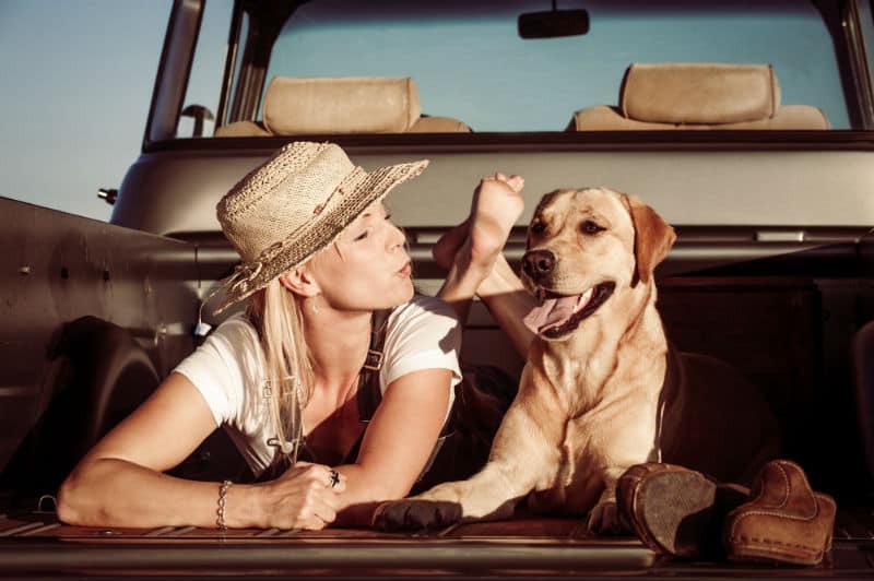 Organizar uma viagem com pets pode ser desafiador, principalmente quando se trata de viagens internacionais. A Corballog é especialista no transporte nacional e internacional de animais de estimação, garantindo que todos os detalhes sejam planejados com segurança e eficiência.